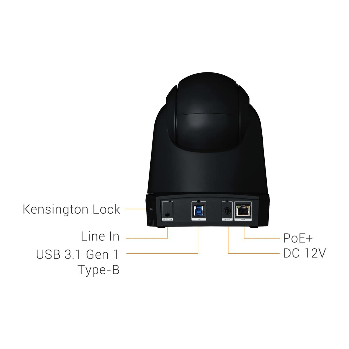 Webcam AVer DL30 - GearHaus