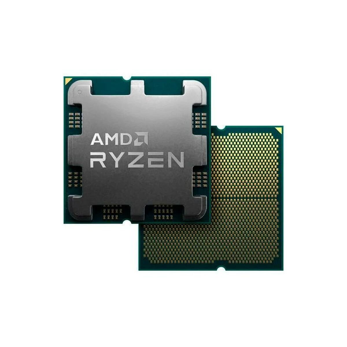 Processor AMD 100 - 100000718BOX AMD AM5 amd ryzen 5 9600 - GearHaus