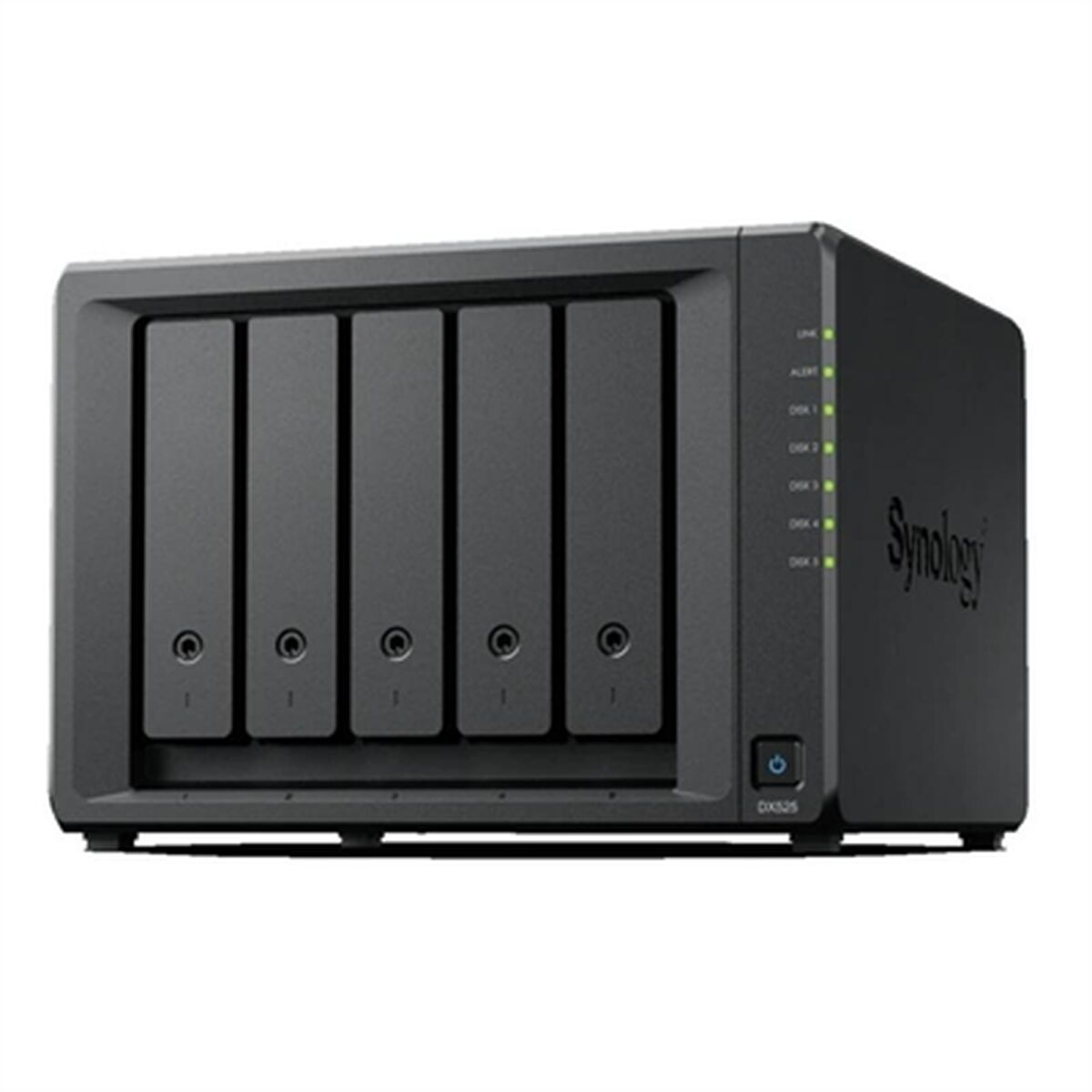 NAS Network Storage Synology DX525 Black - GearHaus