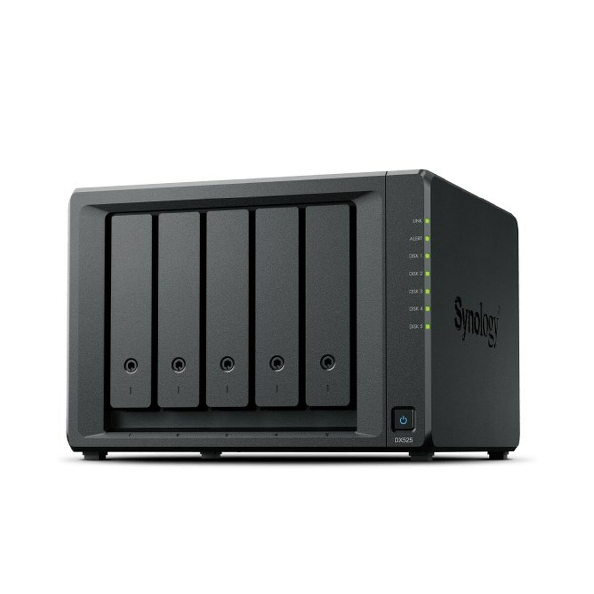 NAS Network Storage Synology DX525 Black - GearHaus