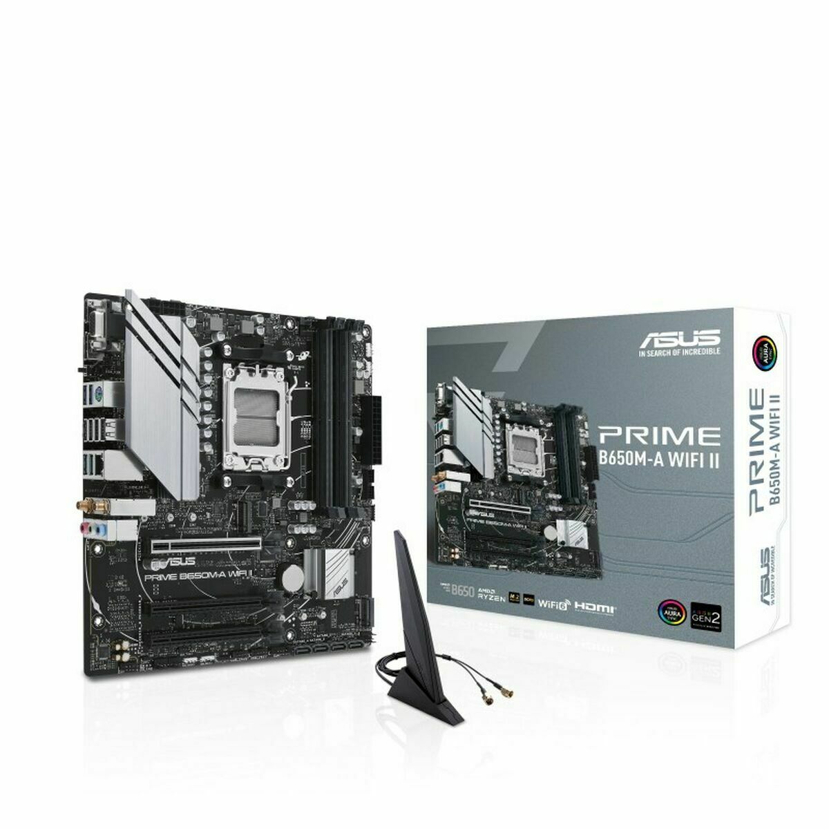 Motherboard Asus AMD AM5 AMD AMD B650 - GearHaus
