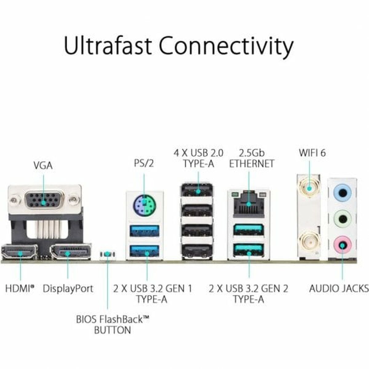 Motherboard Asus AMD AM5 AMD AMD B650 - GearHaus