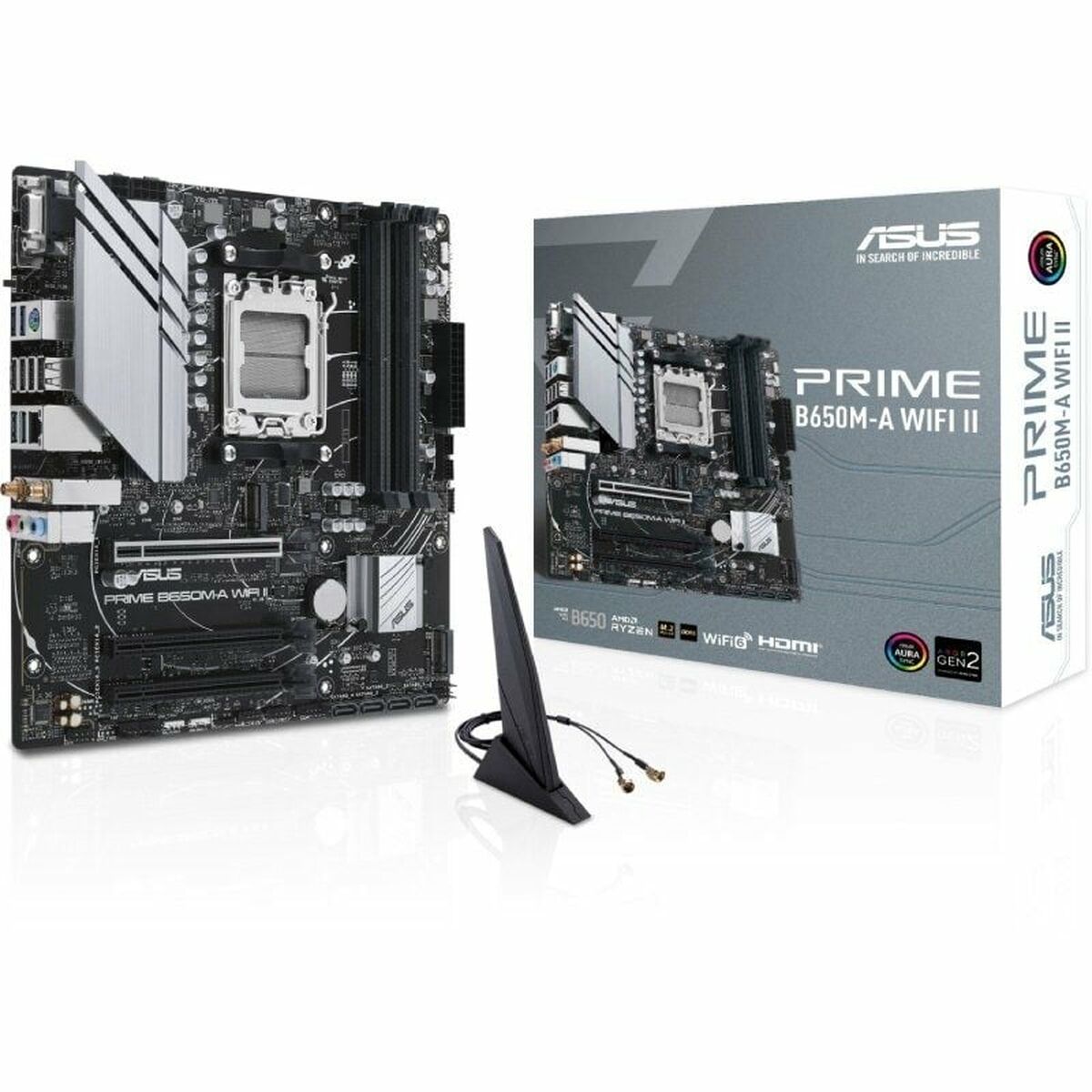 Motherboard Asus AMD AM5 AMD AMD B650 - GearHaus