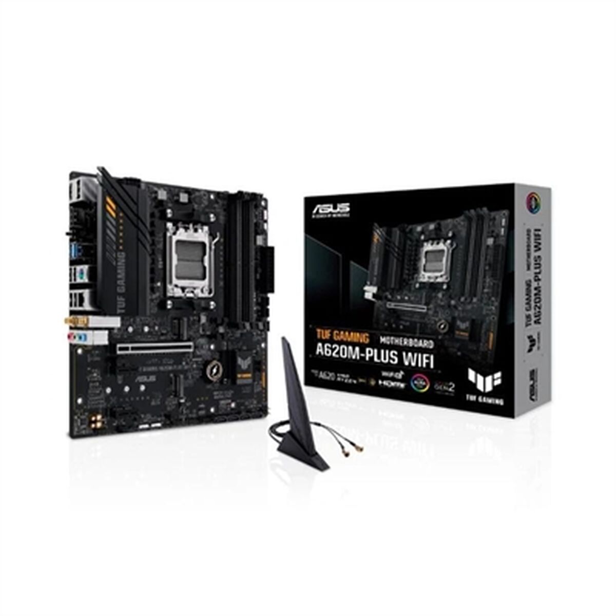 Motherboard Asus AMD AM5 AMD - GearHaus
