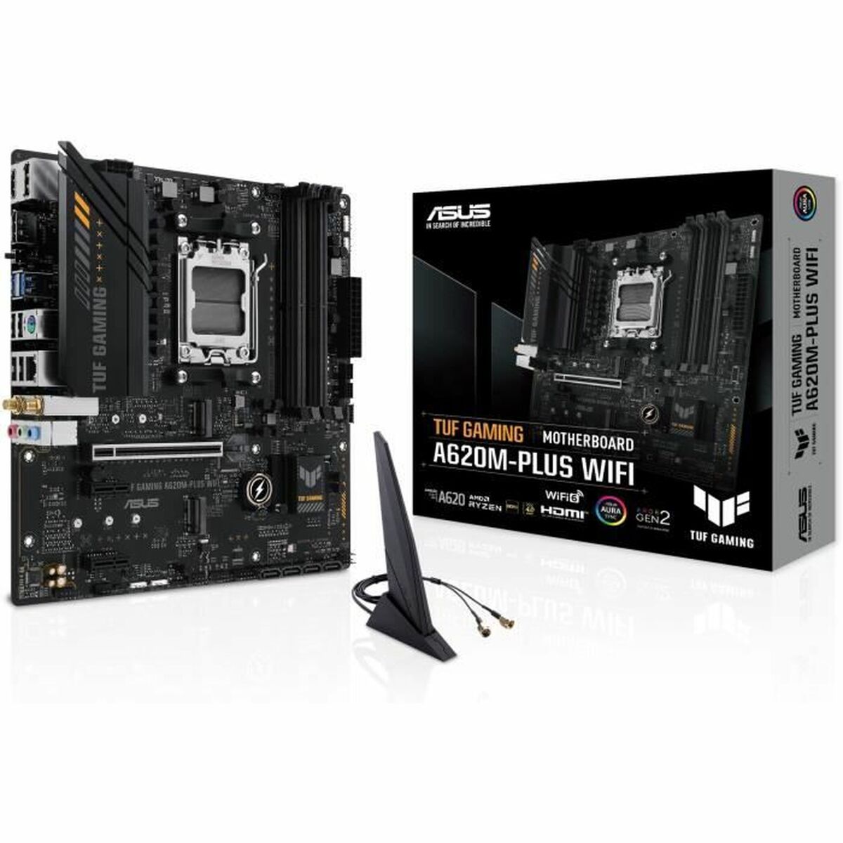Motherboard Asus AMD AM5 AMD - GearHaus