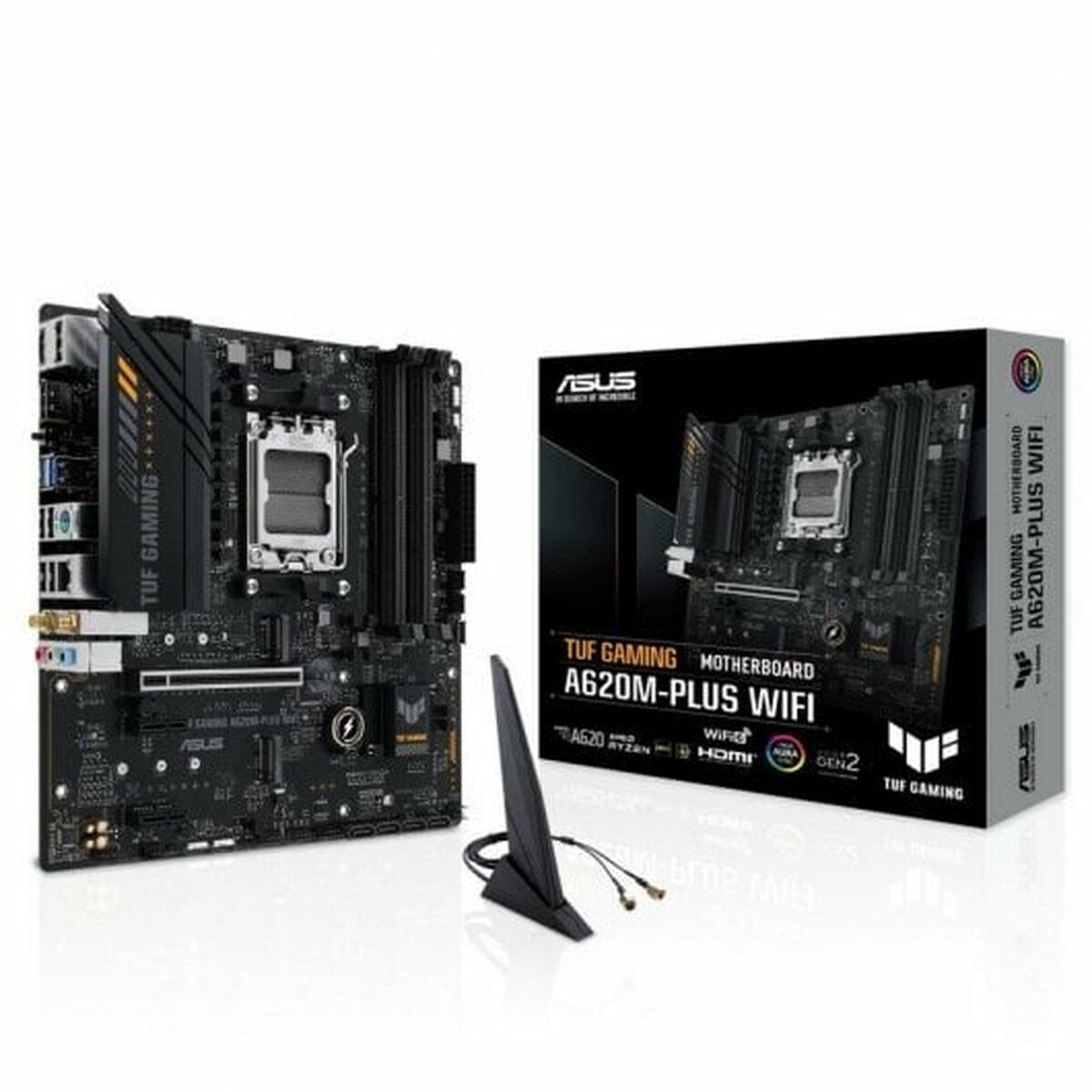 Motherboard Asus AMD AM5 AMD - GearHaus