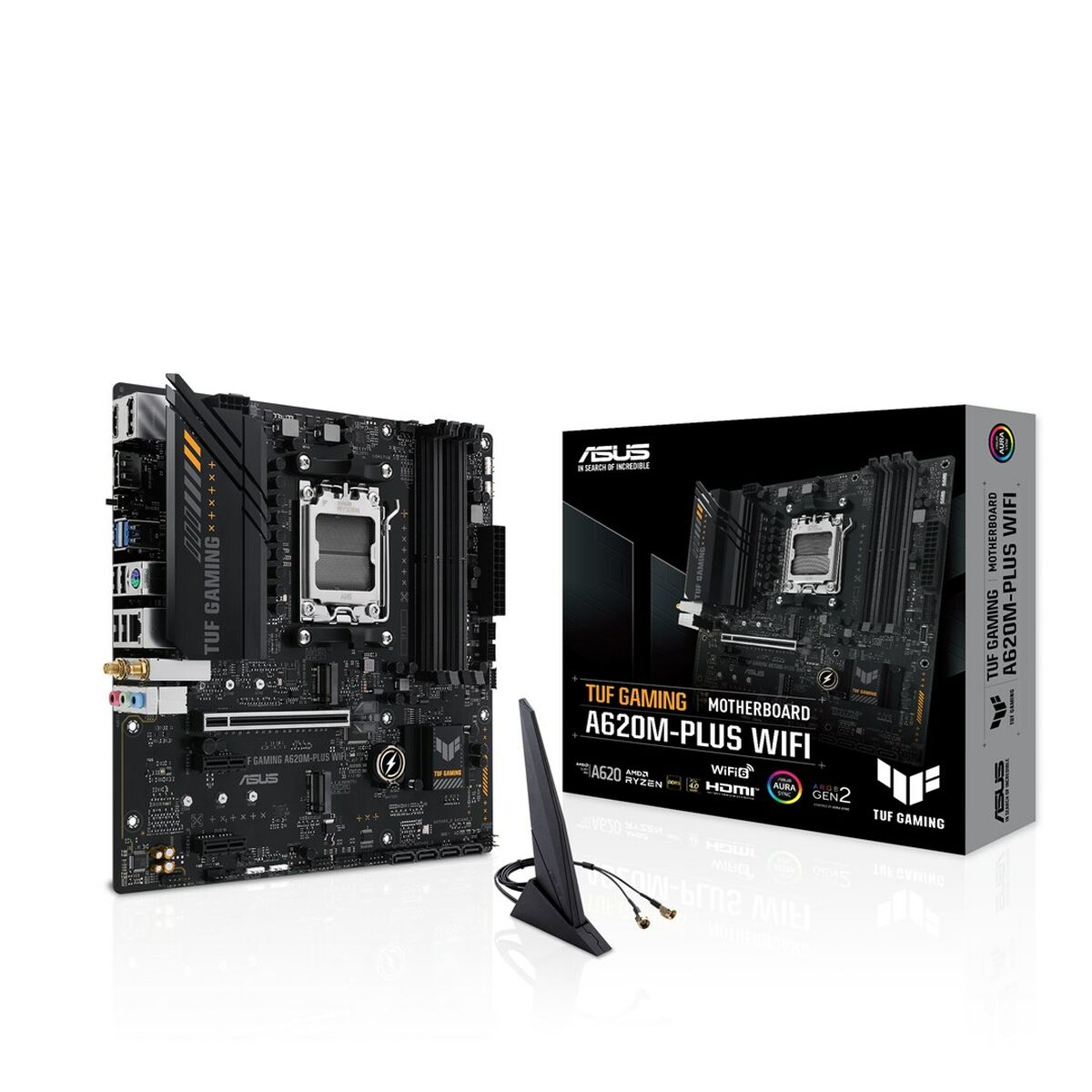 Motherboard Asus AMD AM5 AMD - GearHaus