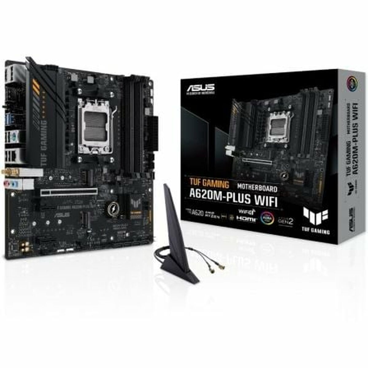 Motherboard Asus AMD AM5 AMD - GearHaus