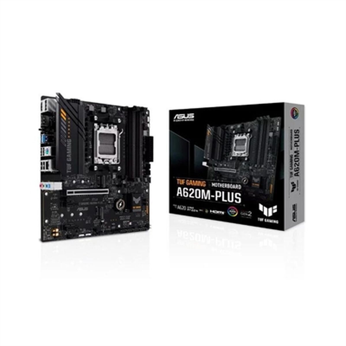 Motherboard Asus AMD AM5 - GearHaus