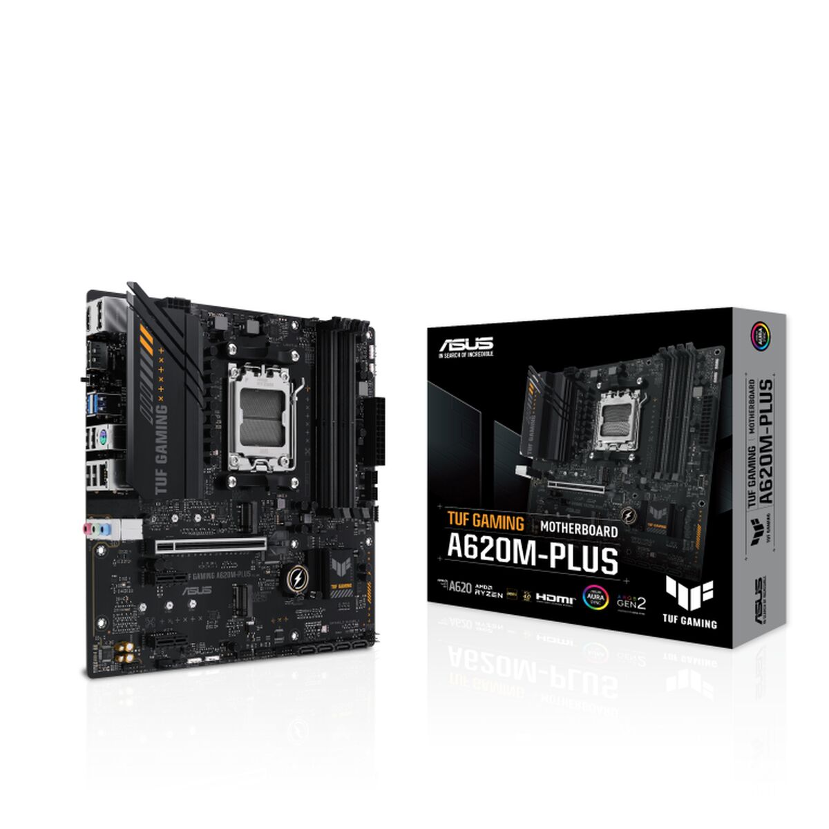 Motherboard Asus AMD AM5 - GearHaus