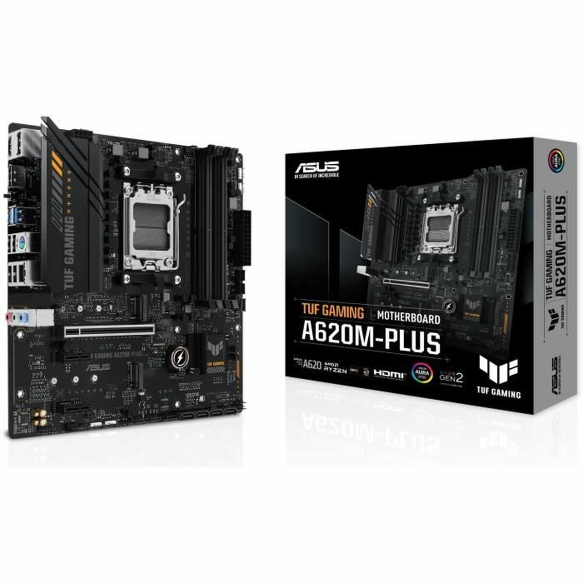 Motherboard Asus AMD AM5 - GearHaus