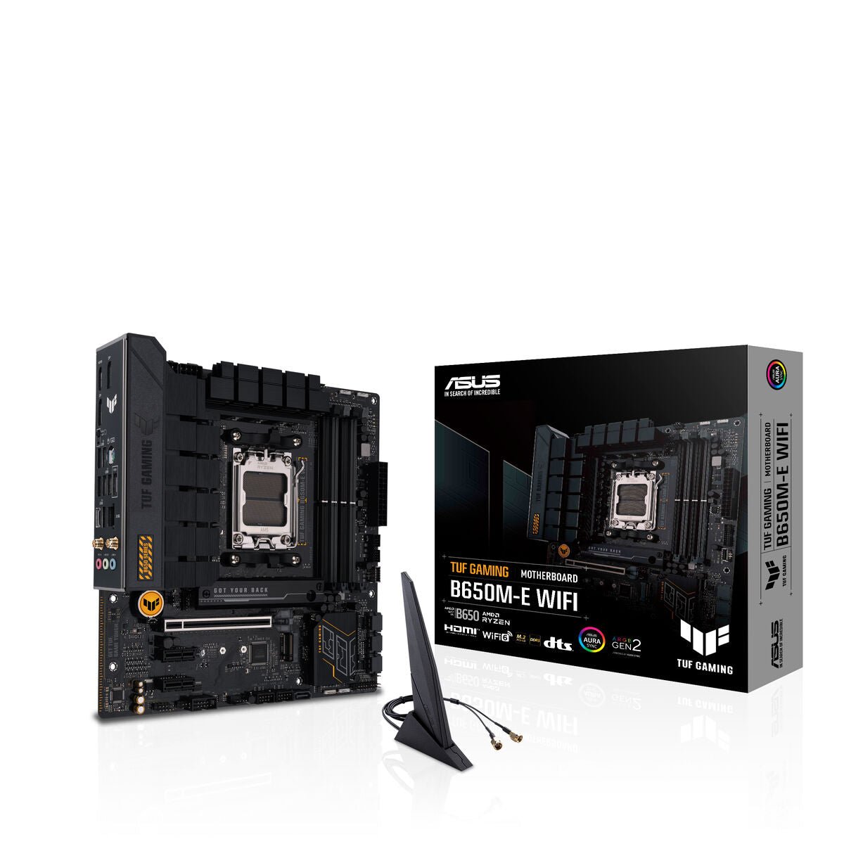 Motherboard Asus AMD AM5 AMD AMD B650 - GearHaus
