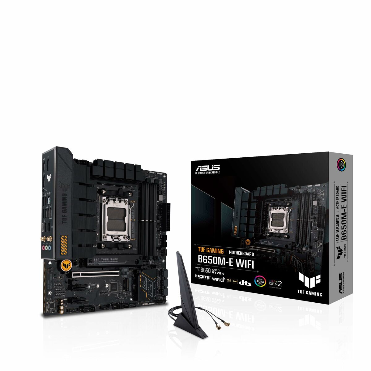 Motherboard Asus AMD AM5 AMD AMD B650 - GearHaus