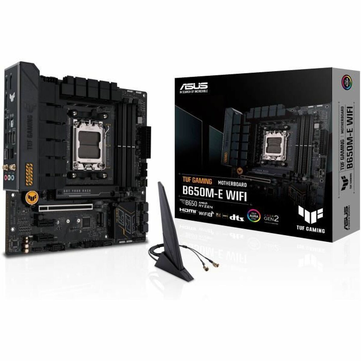 Motherboard Asus AMD AM5 AMD AMD B650 - GearHaus