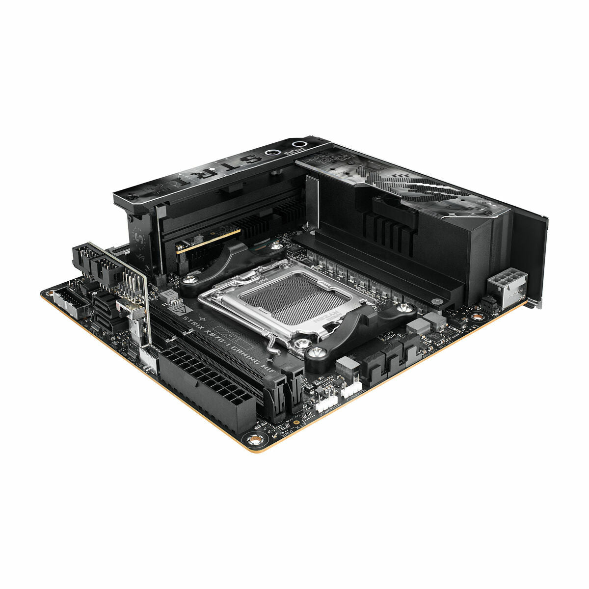 Motherboard Asus AMD AM5 AMD - GearHaus