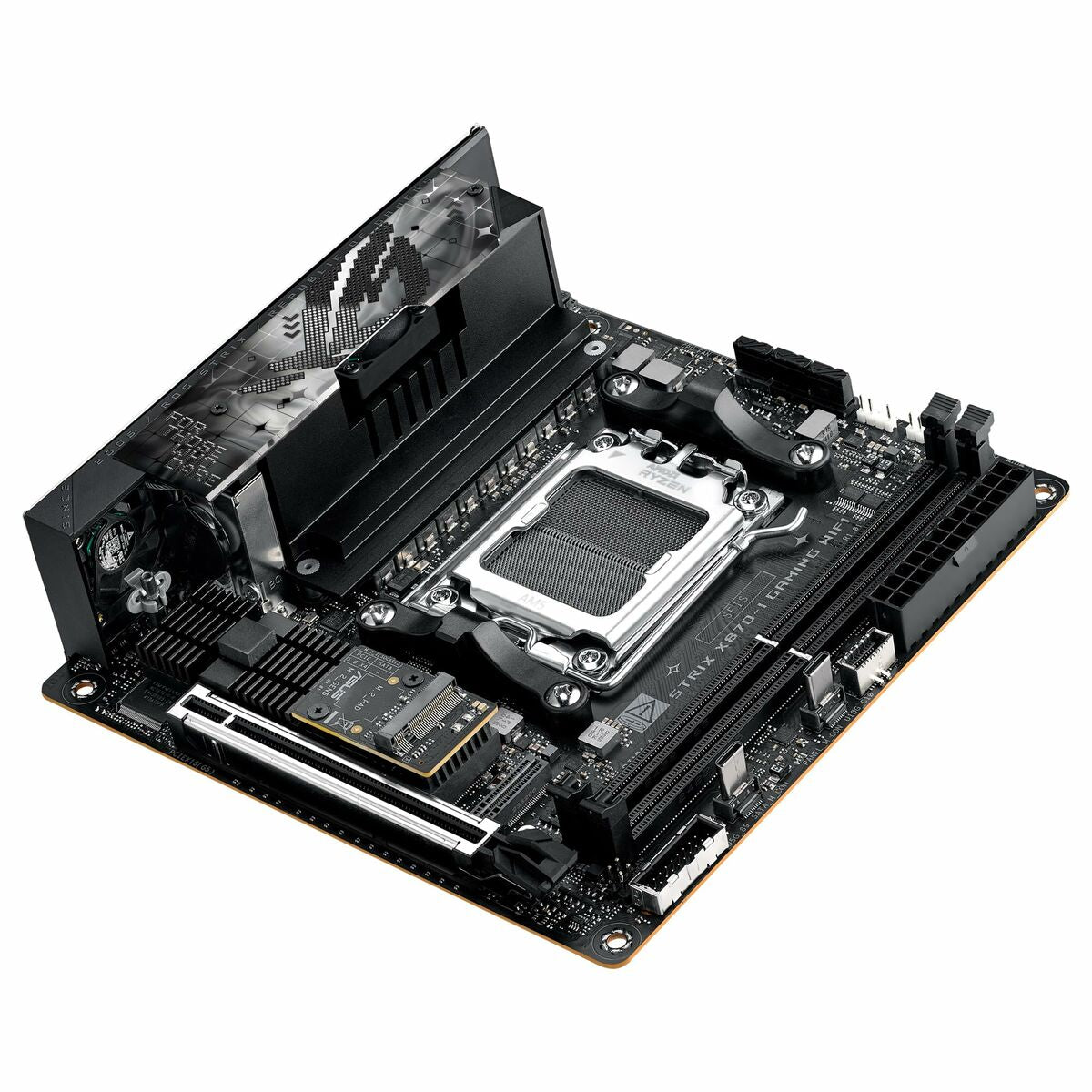 Motherboard Asus AMD AM5 AMD - GearHaus