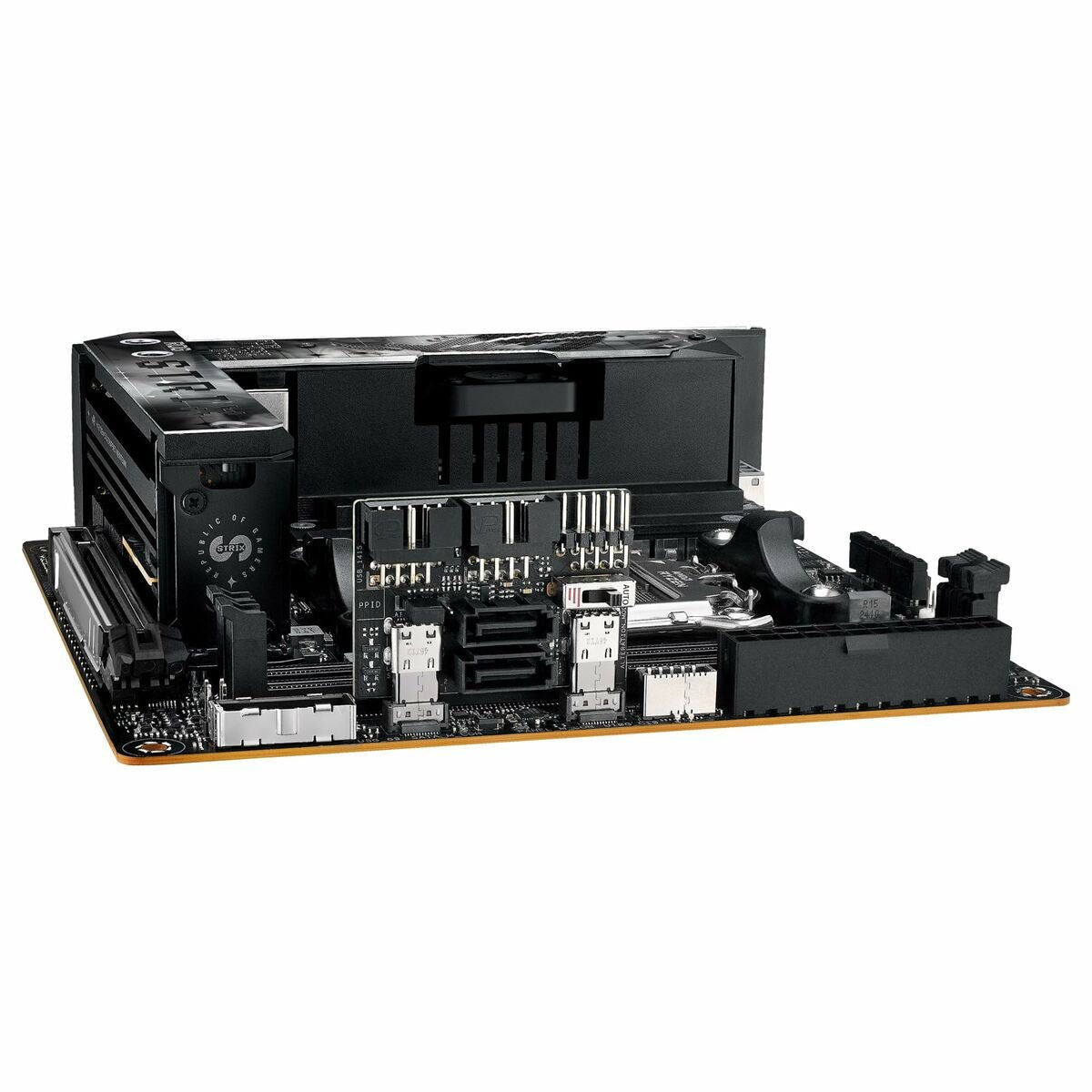Motherboard Asus AMD AM5 AMD - GearHaus