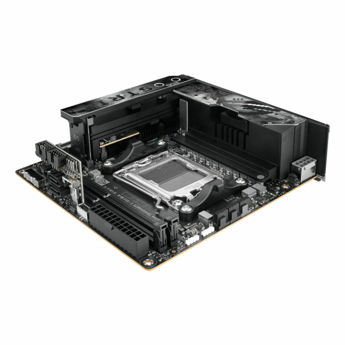 Motherboard Asus AMD AM5 AMD - GearHaus