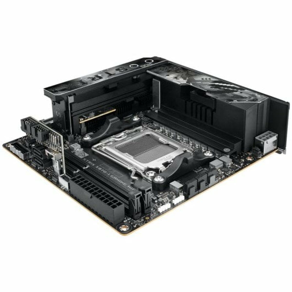 Motherboard Asus AMD AM5 AMD - GearHaus