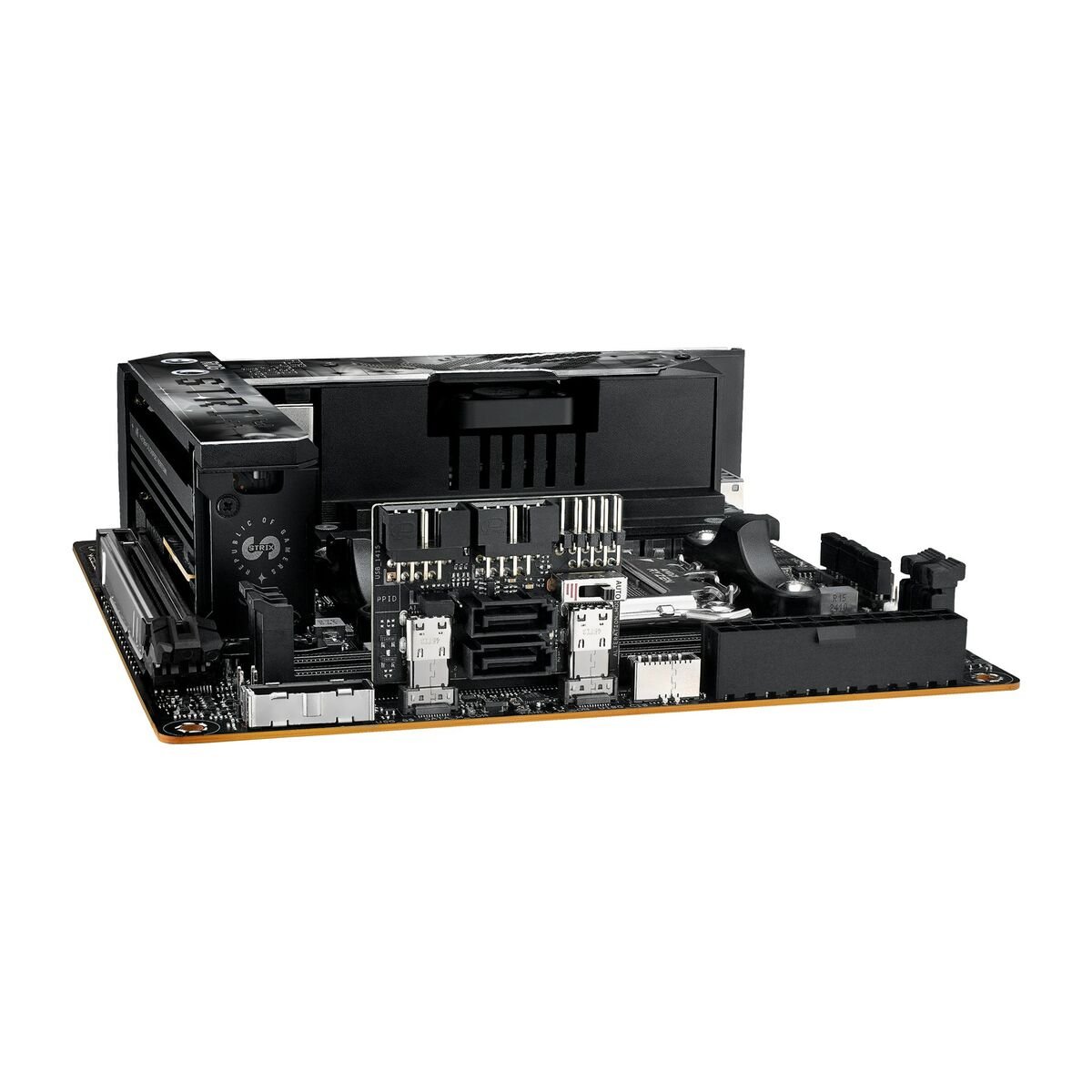 Motherboard Asus AMD AM5 AMD - GearHaus