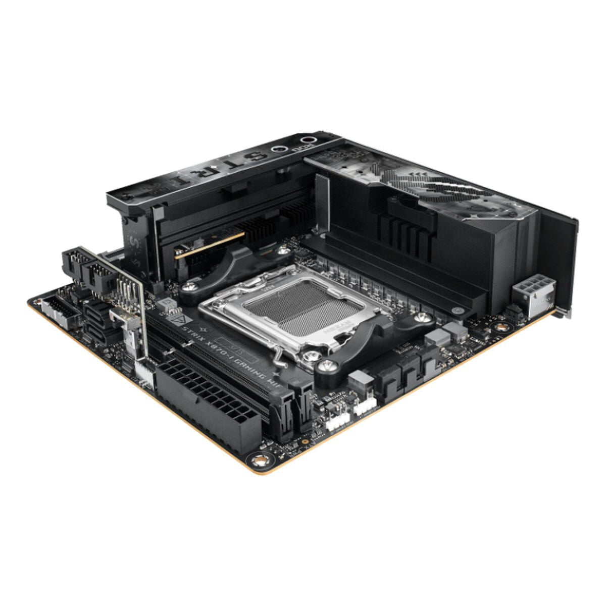 Motherboard Asus AMD AM5 AMD - GearHaus