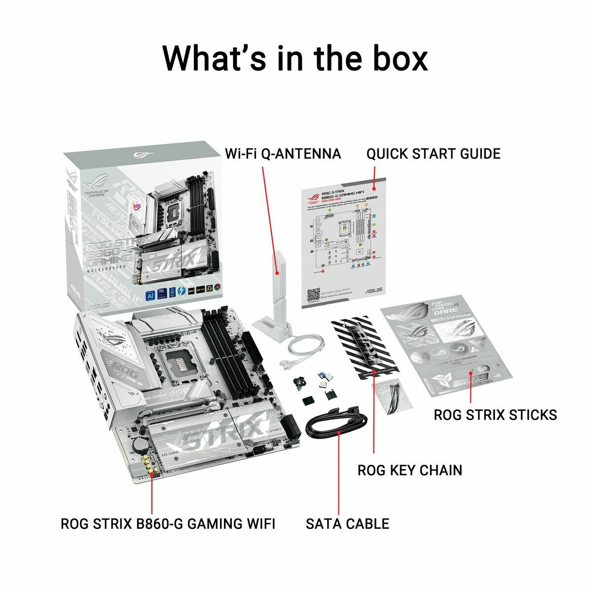 Motherboard Asus LGA 1851 - GearHaus