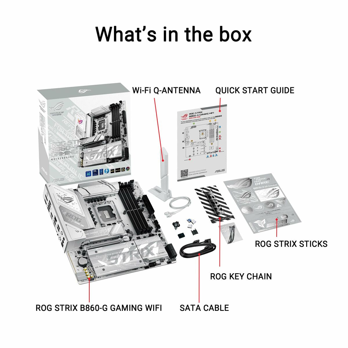 Motherboard Asus LGA 1851 - GearHaus