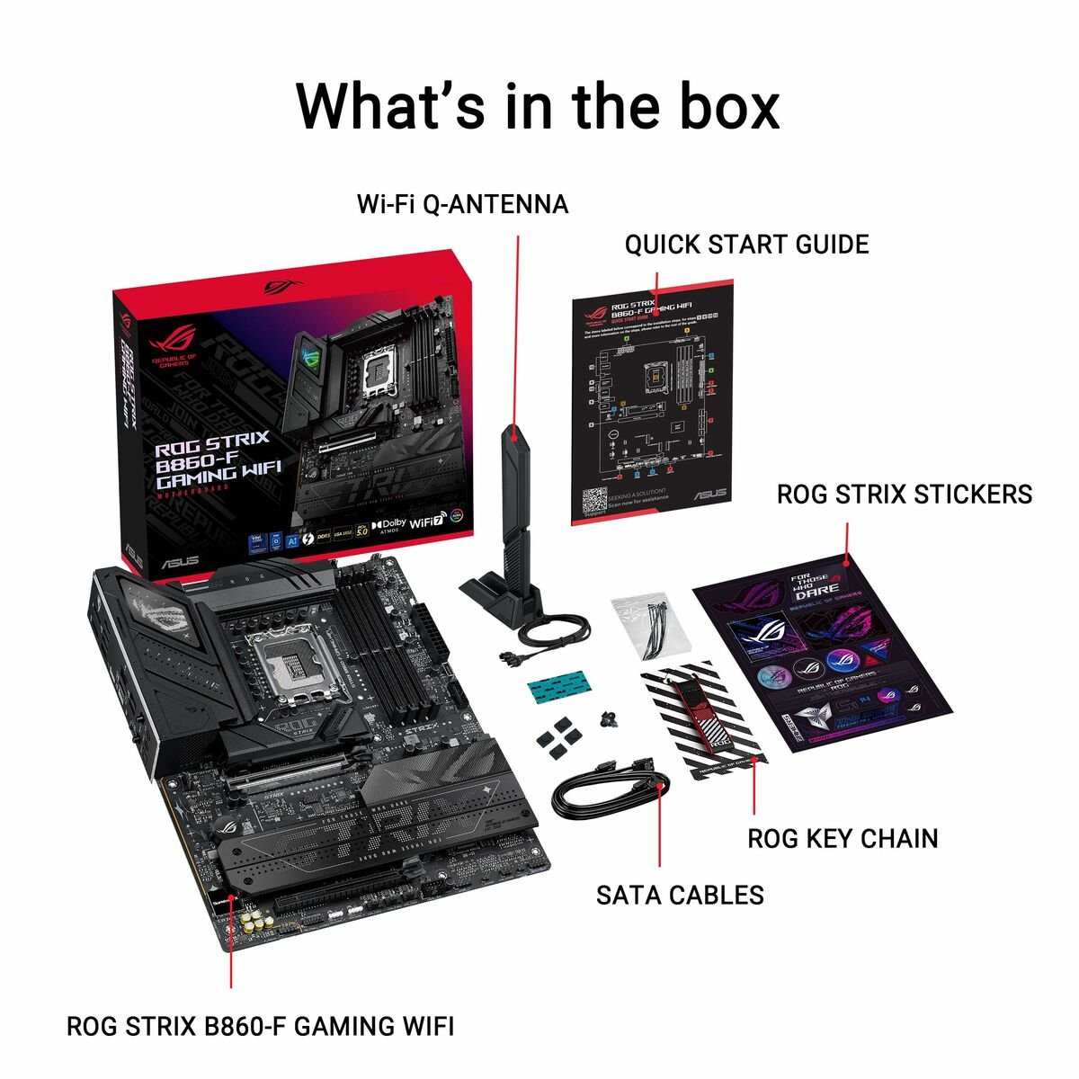 Motherboard Asus LGA 1851 - GearHaus