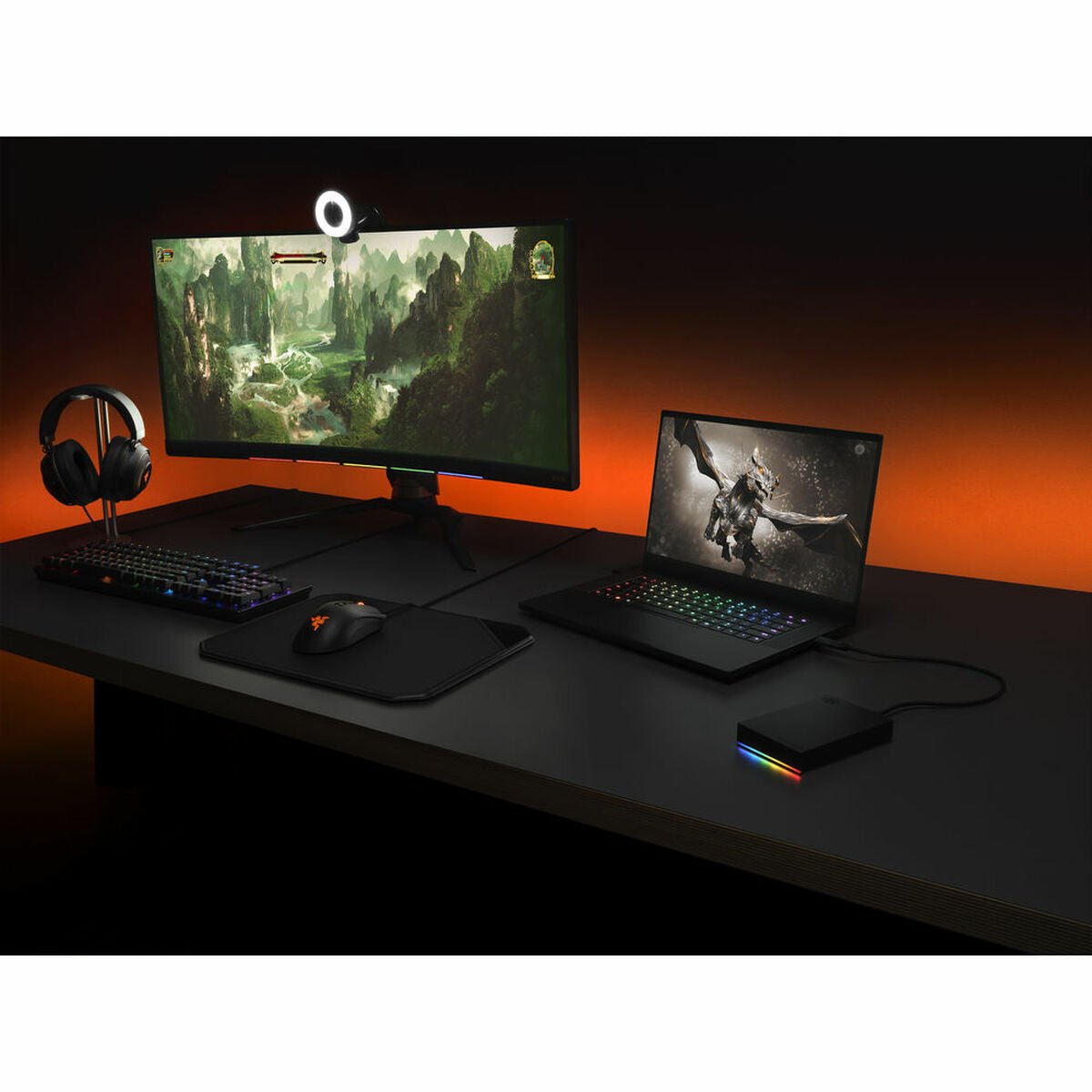 External Hard Drive Seagate STKL5000400 5 TB - GearHaus